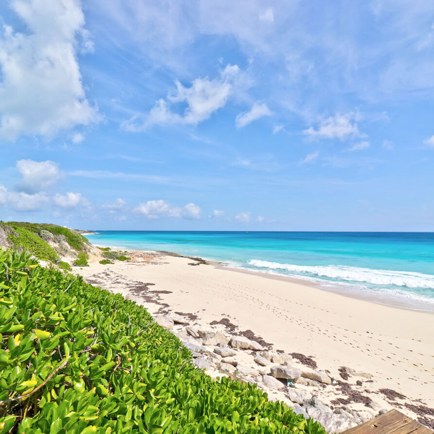 Love Beach - Beach 2
