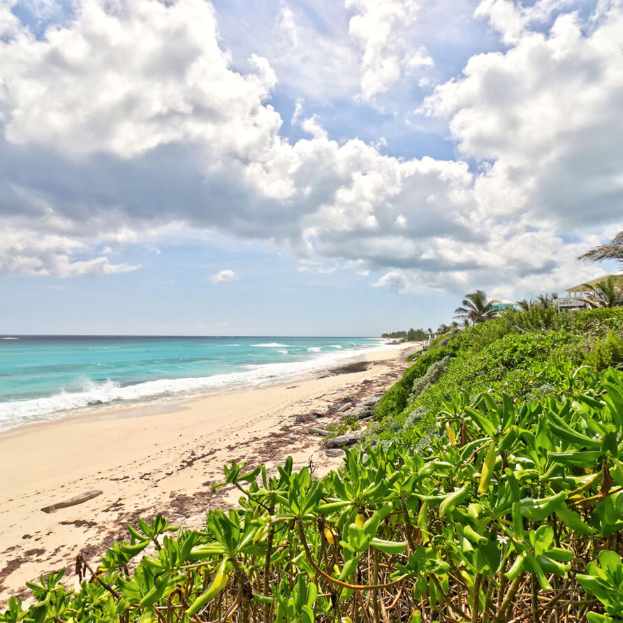 Love Beach - Beach 3