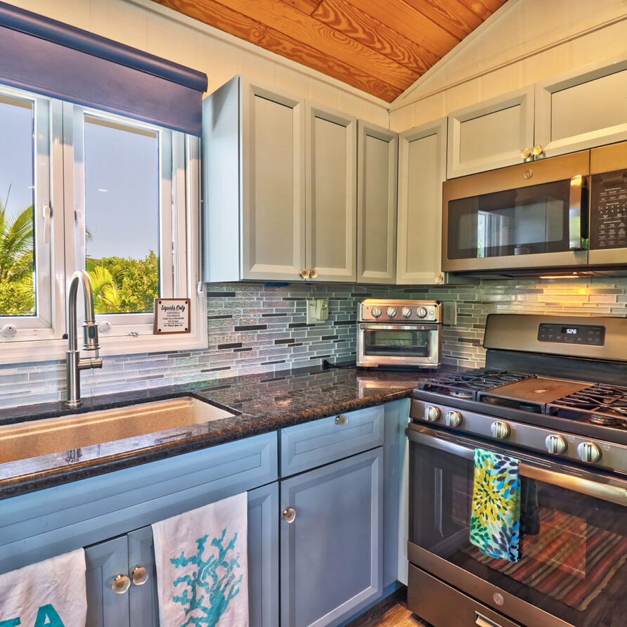 Lil Gecko - Stainless Steel Appliances
