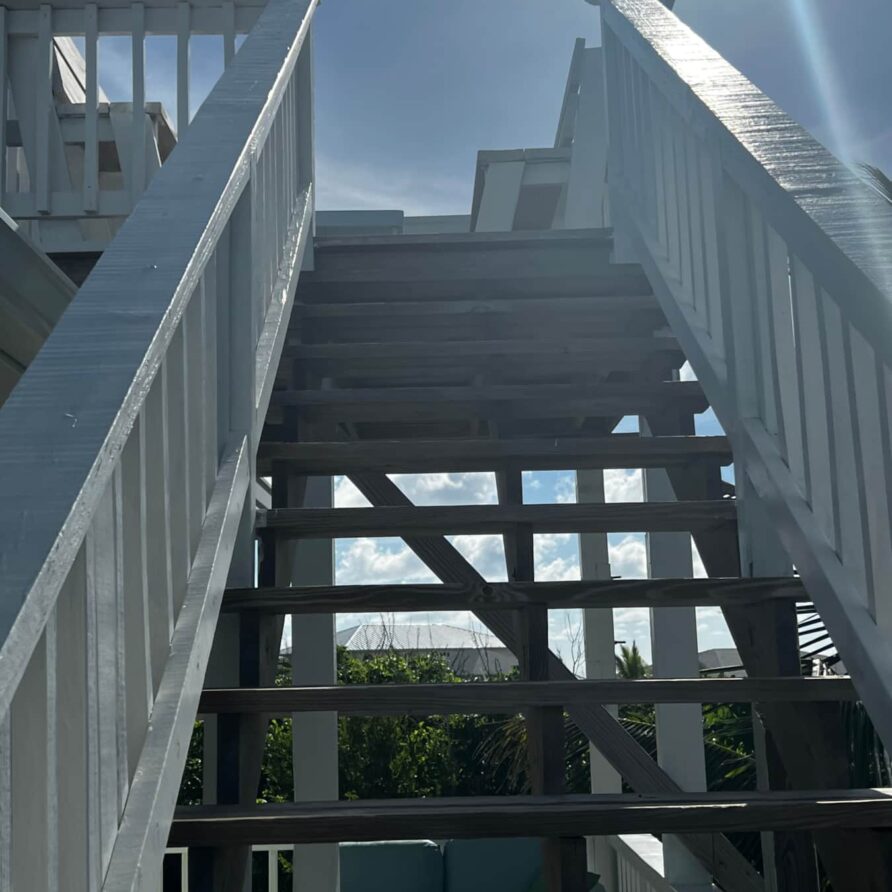 Lil Gecko - Stairs