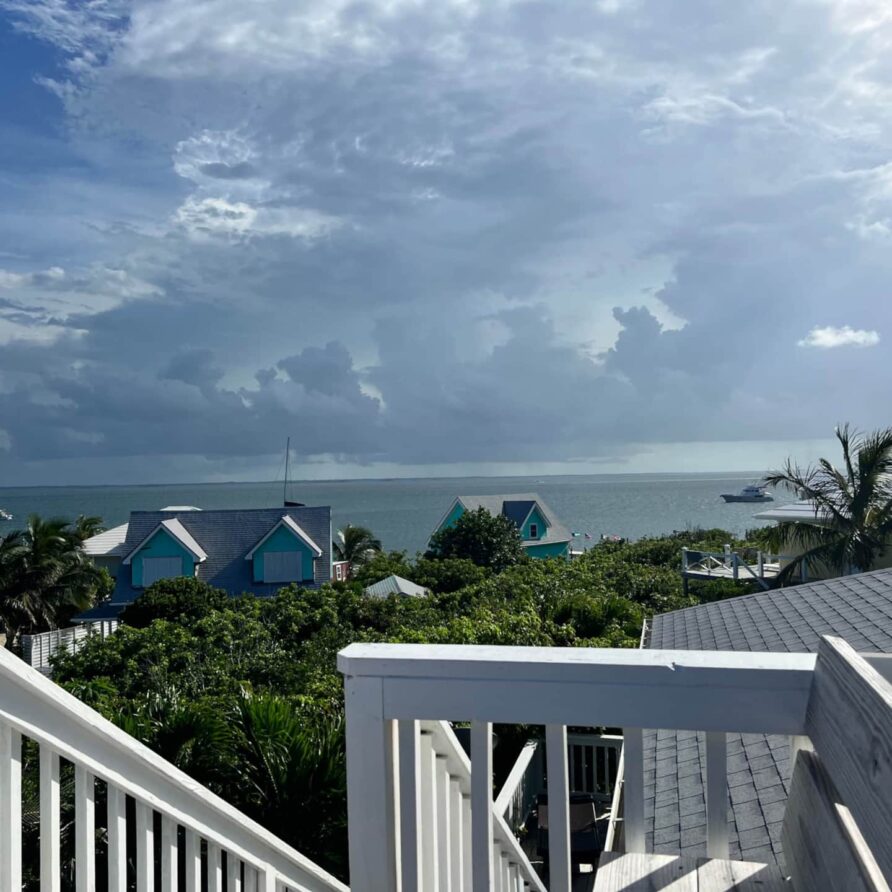 Lil Gecko - Sea Of Abaco View