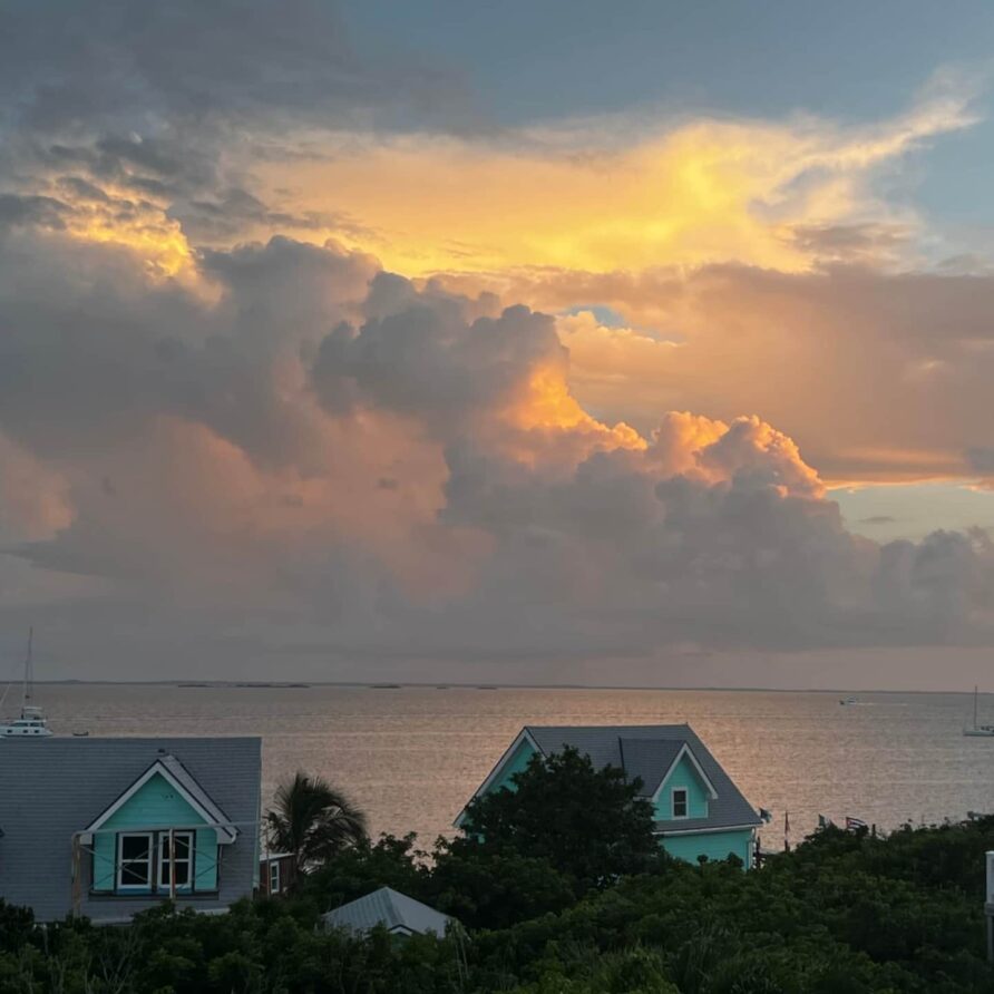 Lil Gecko - Sea of Abaco View 2