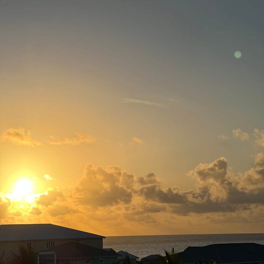 Lil Gecko - Sunset View