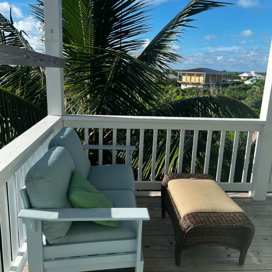 Lil Gecko - Outdoor Living 3