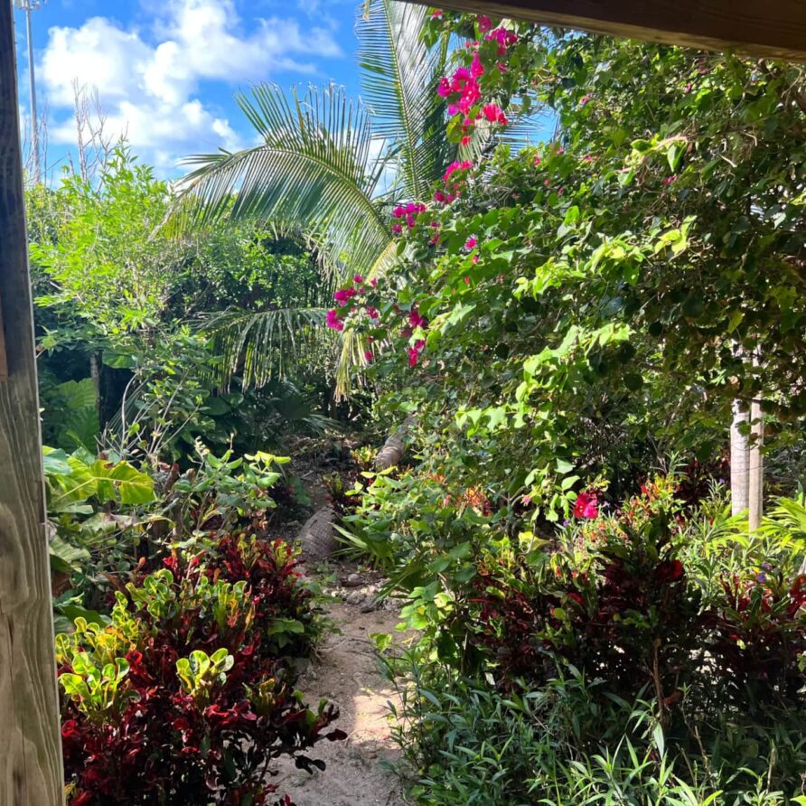 Lil Gecko - Landscaping 2