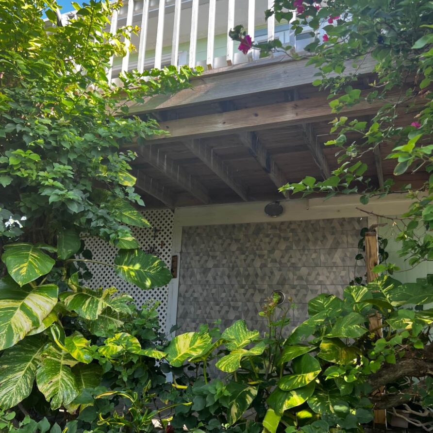 Lil Gecko - Landscaping 3