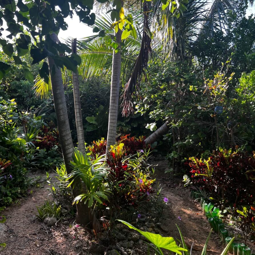 Lil Gecko - Landscaping 5