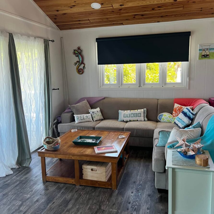 Lil Gecko - Living Area 2