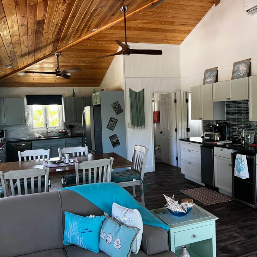 Lil Gecko - Open Concept Design